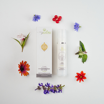 Hydrating Night Cream for Dry Skin with Mango Butter, Peony- and Mint Extract - 50 ml